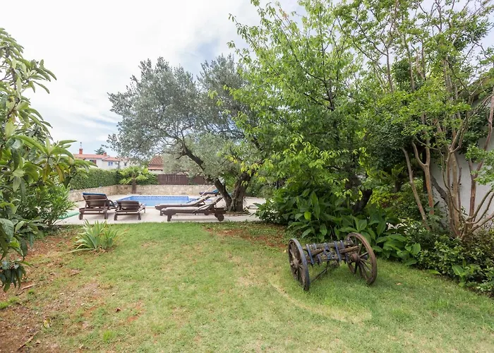 Renata فيلة بولا